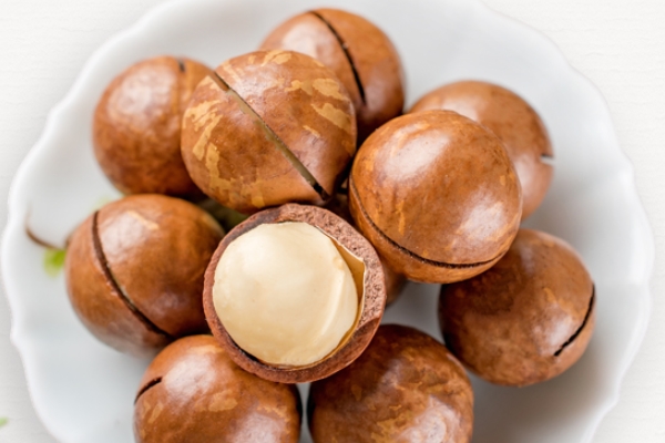 夏威夷果怎么吃 教你正確吃法 夏威夷果怎么吃 教你正確吃法
