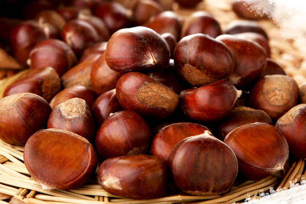 板栗沒有毛能吃嗎 陳年板栗不要買 板栗沒有毛能吃嗎 陳年板栗不要買