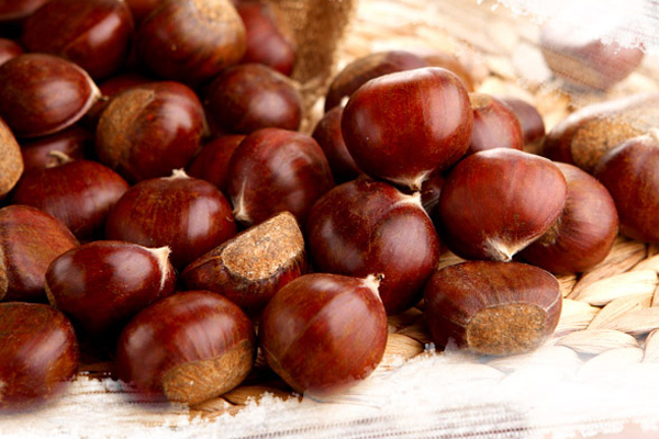 板栗沒有毛能吃嗎 陳年板栗不要買 板栗沒有毛能吃嗎 陳年板栗不要買