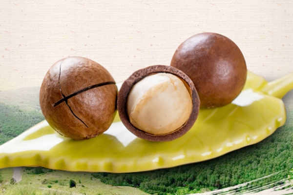 夏威夷果為什么有奶香味 加工而來 夏威夷果為什么有奶香味 加工而來