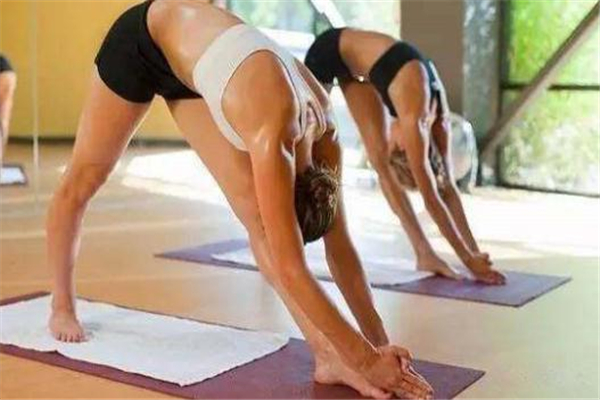 高溫瑜伽是有氧運動嗎 屬于有氧的一種 高溫瑜伽是有氧運動嗎 屬于有氧的一種