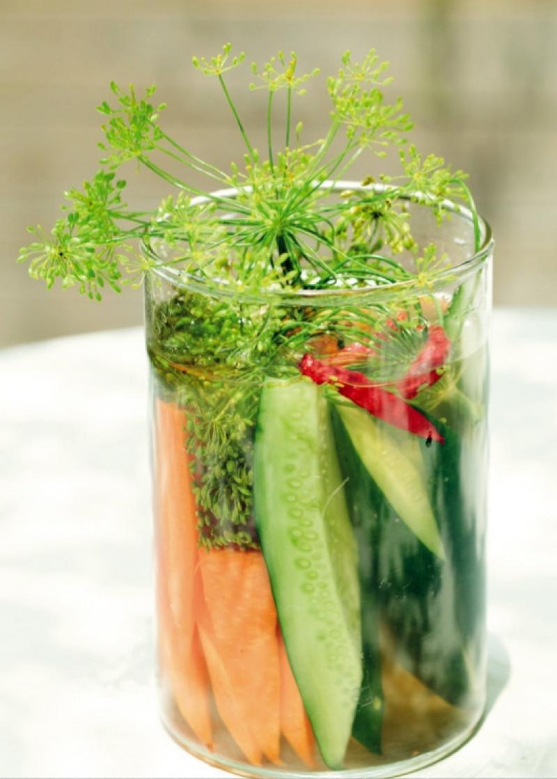 蒔蘿怎么種 北歐料理的靈魂 蒔蘿怎么種 北歐料理的靈魂