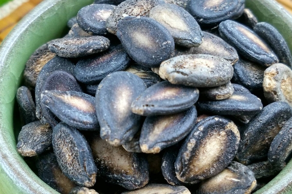 西瓜子哪個牌子好吃 西瓜子有幾種口味