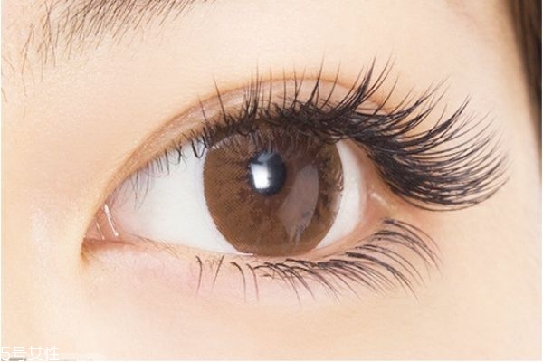 嫁接睫毛怎么保持更長時(shí)間 嫁接睫毛的詳細(xì)步驟 嫁接睫毛怎么保持更長時(shí)間 嫁接睫毛的詳細(xì)步驟