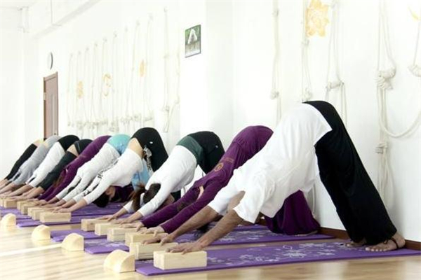 艾揚(yáng)格瑜伽是什么 強(qiáng)身健體首選 艾揚(yáng)格瑜伽是什么 強(qiáng)身健體首選