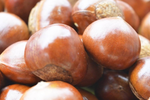 糖炒板栗冷了可以吃嗎 最好吃熱的 糖炒板栗冷了可以吃嗎 最好吃熱的