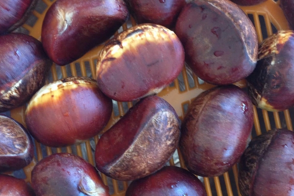 糖炒板栗冷了可以吃嗎 最好吃熱的 糖炒板栗冷了可以吃嗎 最好吃熱的