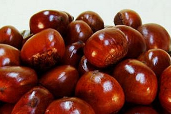 糖炒板栗冷了可以吃嗎 最好吃熱的 糖炒板栗冷了可以吃嗎 最好吃熱的