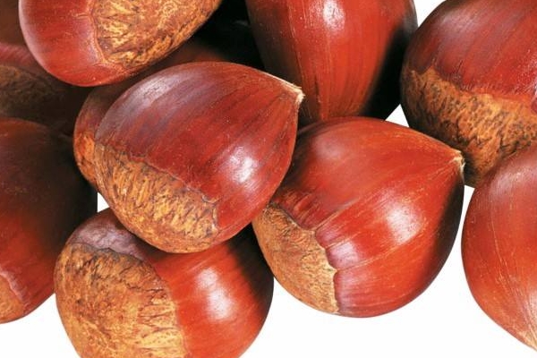 糖炒板栗有毒嗎 真相是這樣 糖炒板栗有毒嗎 真相是這樣