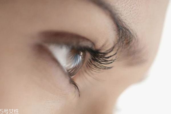嫁接睫毛怎么保持更長時(shí)間 嫁接睫毛的詳細(xì)步驟 嫁接睫毛怎么保持更長時(shí)間 嫁接睫毛的詳細(xì)步驟