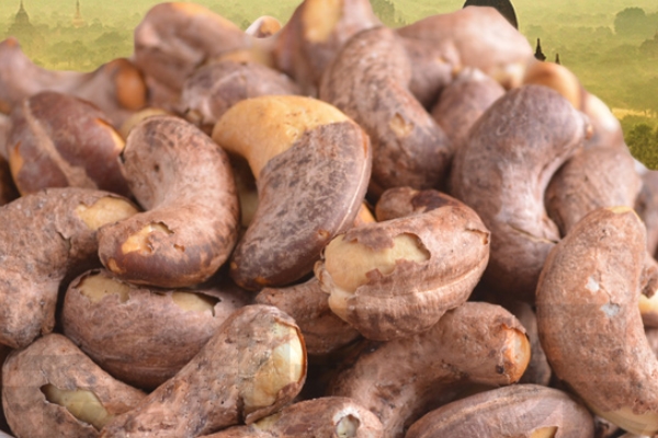 腰果要不要洗 直接可以吃的 腰果要不要洗 直接可以吃的