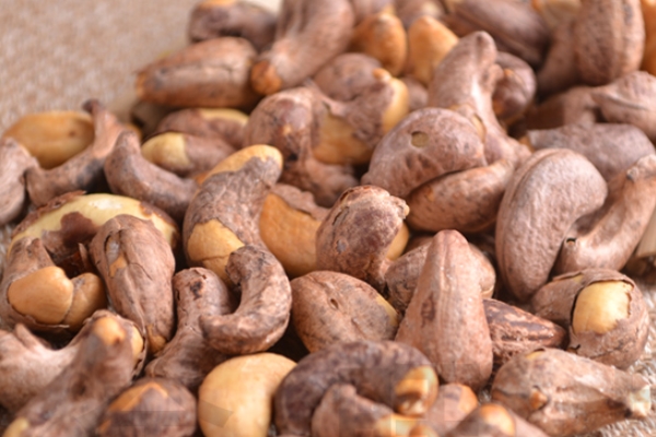 腰果可以作為零食吃嗎 最好是不要 腰果可以作為零食吃嗎 最好是不要