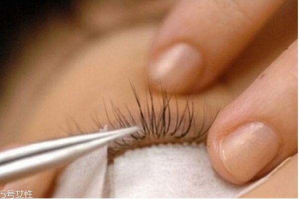 嫁接睫毛怎么保持更長時(shí)間 嫁接睫毛的詳細(xì)步驟 嫁接睫毛怎么保持更長時(shí)間 嫁接睫毛的詳細(xì)步驟