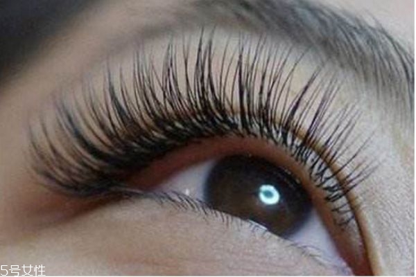 嫁接睫毛怎么保持更長時(shí)間 嫁接睫毛的詳細(xì)步驟 嫁接睫毛怎么保持更長時(shí)間 嫁接睫毛的詳細(xì)步驟