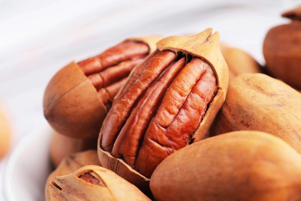 碧根果好還是核桃好 前者營養(yǎng)價值更高 碧根果好還是核桃好 前者營養(yǎng)價值更高