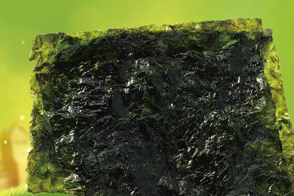 海苔為什么叫海苔 是這個(gè)意思 海苔為什么叫海苔 是這個(gè)意思