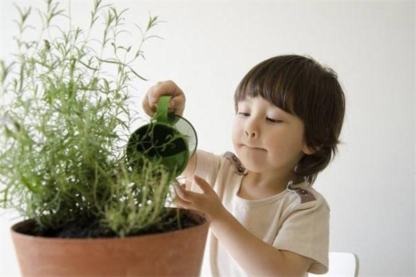 寶寶什么季節(jié)出生最聰明 寶寶什么季節(jié)出生最聰明