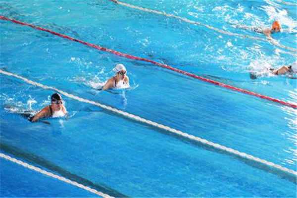 蛙泳可以治療頸椎病嗎 有緩解作用 蛙泳可以治療頸椎病嗎 有緩解作用