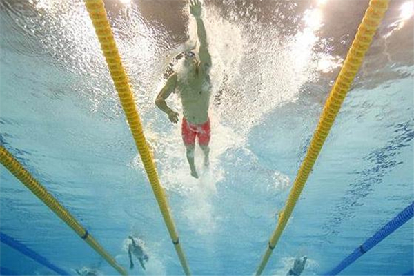 自由泳能鍛煉哪些肌肉 上肢更加明顯 自由泳能鍛煉哪些肌肉 上肢更加明顯