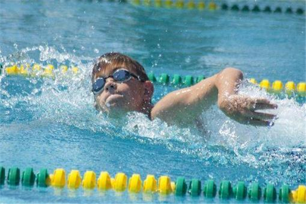自由泳會使肩膀變寬嗎 有這個(gè)可能 自由泳會使肩膀變寬嗎 有這個(gè)可能