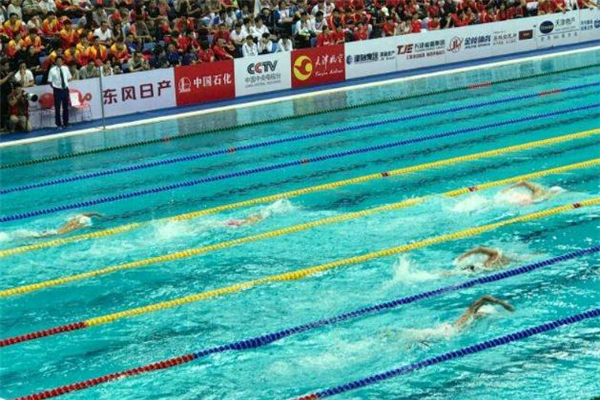 自由泳如何保持平衡 練好核心力量 自由泳如何保持平衡 練好核心力量