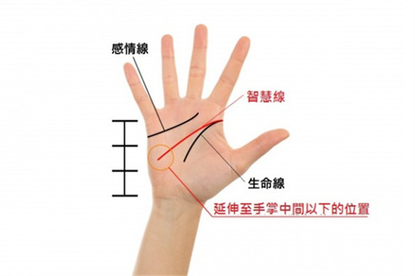 2019年手相看運勢 盤點強勢三手相