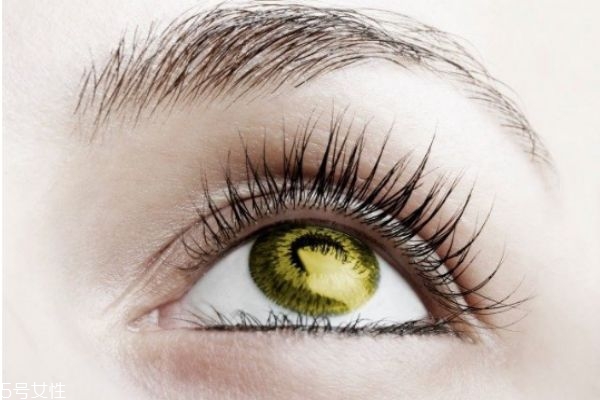 睫毛增長(zhǎng)液什么時(shí)候使用效果最好 堅(jiān)持使用最好 睫毛增長(zhǎng)液什么時(shí)候使用效果最好 堅(jiān)持使用最好