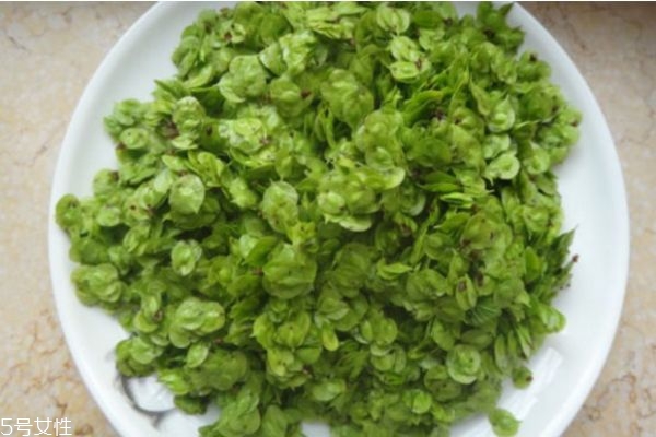 榆錢好吃嗎 榆錢什么季節(jié)有 榆錢好吃嗎 榆錢什么季節(jié)有