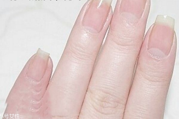 酒紅反法式美甲教程 紅色毛呢美甲教程 酒紅反法式美甲教程 紅色毛呢美甲教程