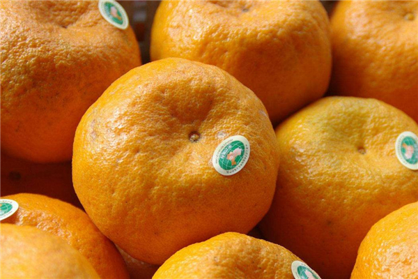 椪柑是熱性還是涼性 不用擔(dān)心上火 椪柑是熱性還是涼性 不用擔(dān)心上火