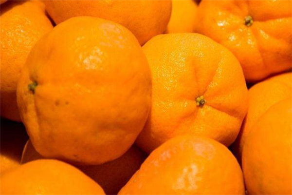 椪柑是丑橘嗎 是兩個(gè)品種 椪柑是丑橘嗎 是兩個(gè)品種