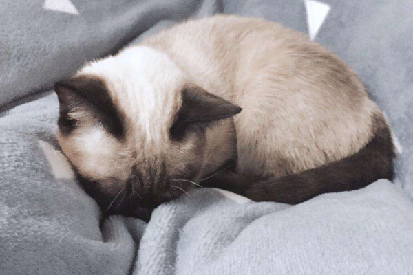 冬天起床困難 4妙招活血醒腦解賴床 冬天起床困難 4妙招活血醒腦解賴床