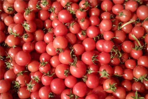 圣女果和香蕉能一起吃嗎 兩者不相克 圣女果和香蕉能一起吃嗎 兩者不相克