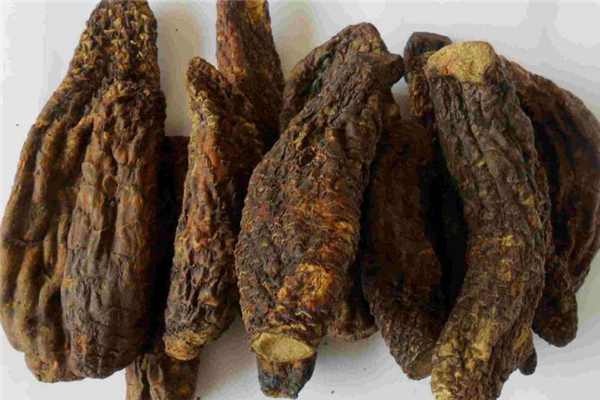 肉蓯蓉可以生吃嗎 生吃對功效有影響 肉蓯蓉可以生吃嗎 生吃對功效有影響