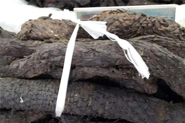 肉蓯蓉怎么保存 注意保持干燥 肉蓯蓉怎么保存 注意保持干燥