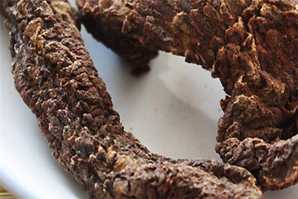 肉蓯蓉怎么保存 注意保持干燥 肉蓯蓉怎么保存 注意保持干燥