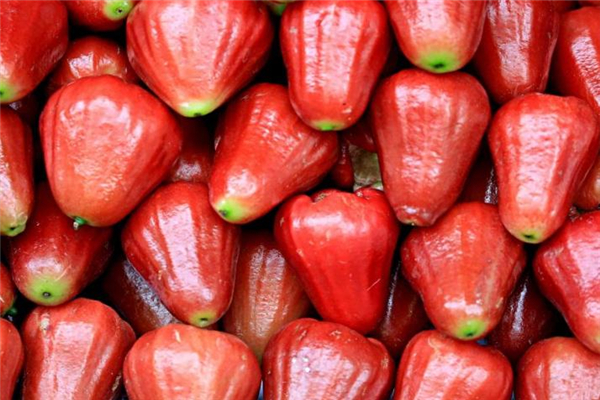 蓮霧能和圣女果一起吃嗎 不要吃太多 蓮霧能和圣女果一起吃嗎 不要吃太多