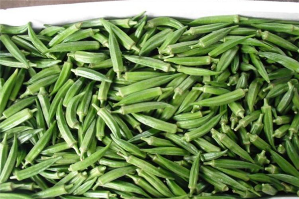 黃秋葵可以天天吃嗎 不建議這樣 黃秋葵可以天天吃嗎 不建議這樣