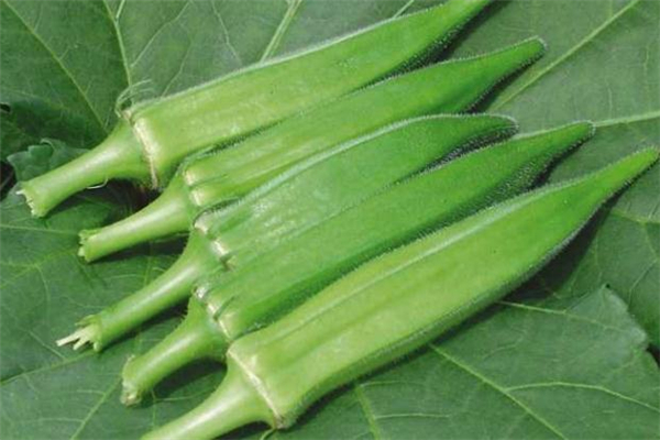 黃秋葵里面的籽能吃嗎 口感不錯(cuò) 黃秋葵里面的籽能吃嗎 口感不錯(cuò)