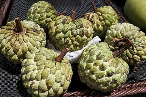 釋迦果什么時(shí)候吃最好 建議早上食用 釋迦果什么時(shí)候吃最好 建議早上食用