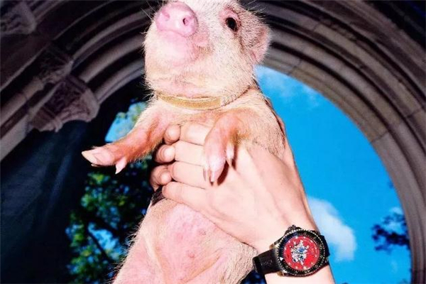 gucci三只小豬手表多少錢(qián) 爆款豬年限定 gucci三只小豬手表多少錢(qián) 爆款豬年限定