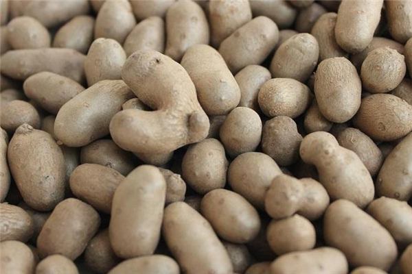 山藥豆蒸多久能熟 時長很關(guān)鍵 山藥豆蒸多久能熟 時長很關(guān)鍵