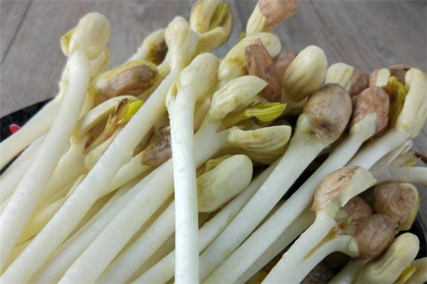 花生苗怎么炒好吃 常見(jiàn)做法是這樣 花生苗怎么炒好吃 常見(jiàn)做法是這樣