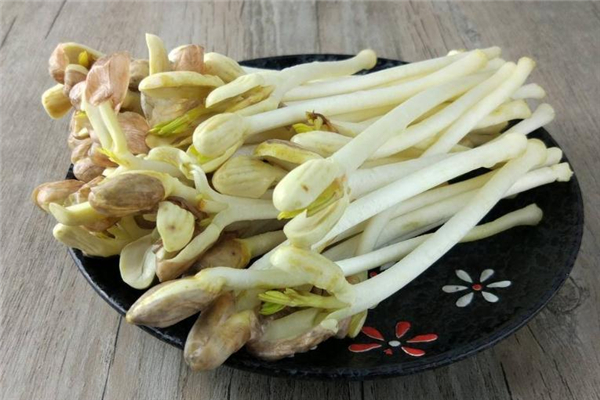 花生苗怎么炒好吃 常見(jiàn)做法是這樣 花生苗怎么炒好吃 常見(jiàn)做法是這樣