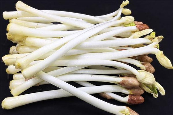 花生芽小孩可以吃嗎 對(duì)小孩好處多 花生芽小孩可以吃嗎 對(duì)小孩好處多