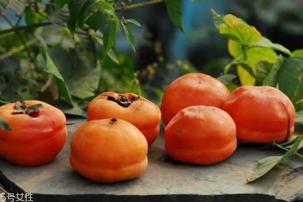 皮膚過敏能吃柿子嗎 四類人不宜多吃柿子 皮膚過敏能吃柿子嗎 四類人不宜多吃柿子