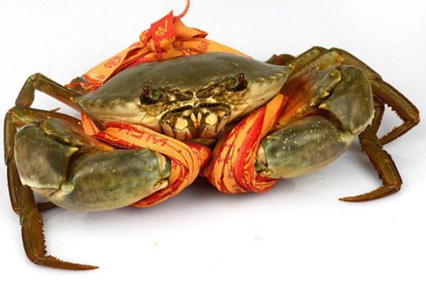 三門(mén)青蟹什么時(shí)候上市 三門(mén)青蟹的特點(diǎn) 三門(mén)青蟹什么時(shí)候上市 三門(mén)青蟹的特點(diǎn)