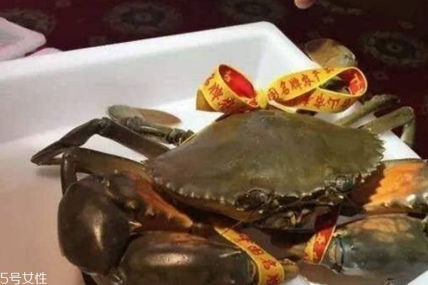 三門(mén)青蟹什么時(shí)候上市 三門(mén)青蟹的特點(diǎn) 三門(mén)青蟹什么時(shí)候上市 三門(mén)青蟹的特點(diǎn)