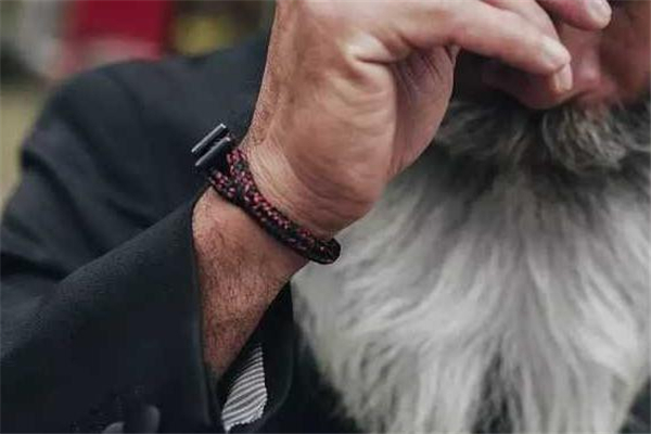 pig hen手鏈在哪里買 抖音網(wǎng)紅手環(huán) pig hen手鏈在哪里買 抖音網(wǎng)紅手環(huán)