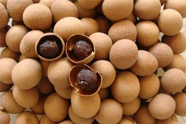 桂圓糖尿病人能吃嗎 對病情不利 桂圓糖尿病人能吃嗎 對病情不利